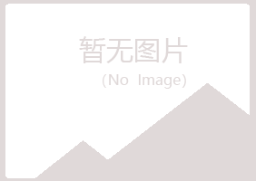 黑水县灵槐媒体有限公司